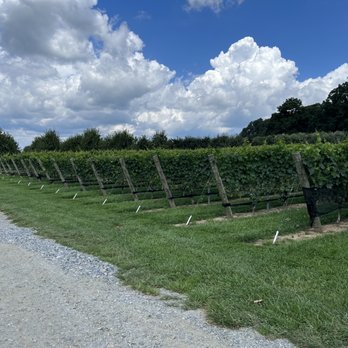 Marked Tree Vineyard - Wineries Near Me - Flat Rock, North Carolina Marked Tree Vineyard - Wineries Near Me - Flat Rock, North Carolina