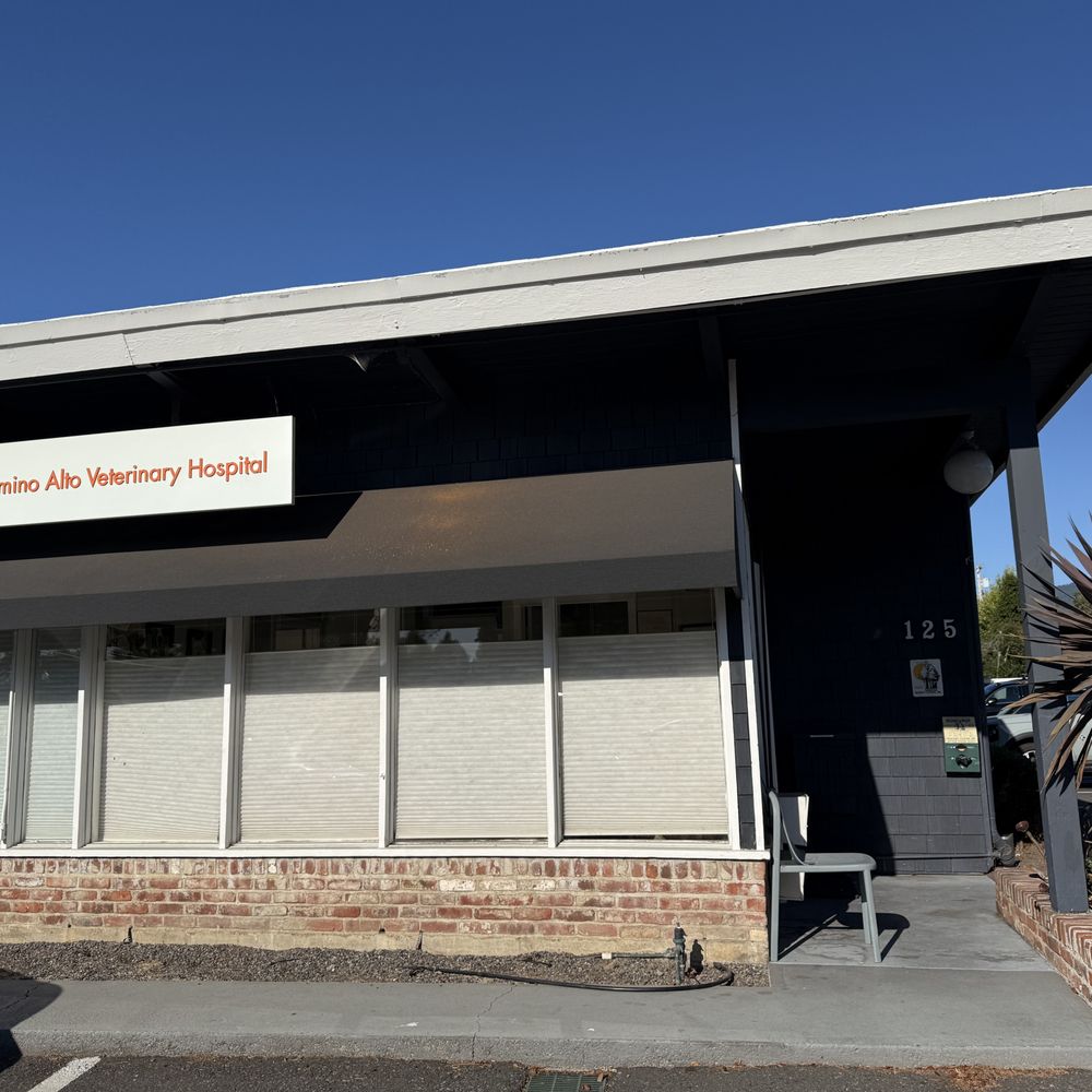 TOP 10 BEST Emergency Vet near Greenbrae, Kentfield, CA - Updated 2026 -  Yelp