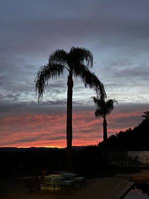 Doheny State Beach by null