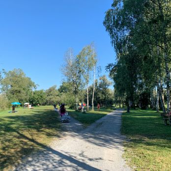 FKK-Strandbad Hard - Man hat die Wahl zwischen offenen Wiesen, schattenspendenden Bäumen oder Plätzen im Schilf - Bathing Area Near Me - Hard, 8