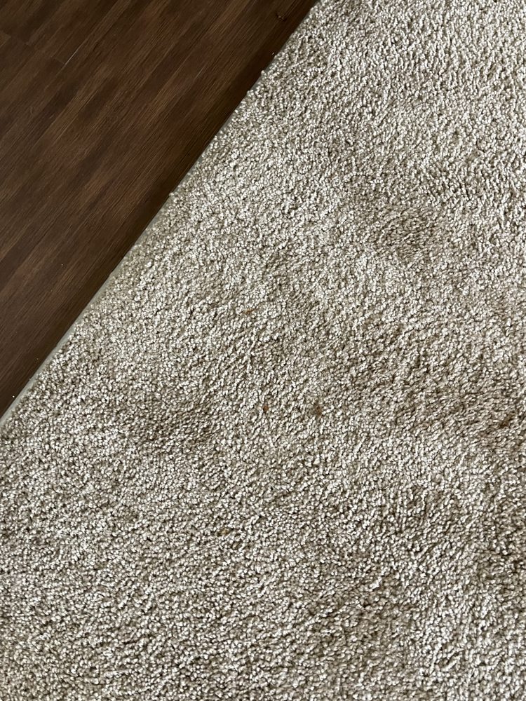 CANTERBURY HOUSE APARTMENTS 84 Photos 2001 S Sherwood Forest Blvd