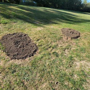 Grumpy Stumpy's Tree Stump Grinding - Tree Services Near Me - Saint Charles, Missouri Grumpy Stumpy's Tree Stump Grinding - Tree Services Near Me - Saint Charles, Missouri