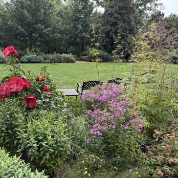 Mt Cuba Center - Gardens - Botanical Gardens Near Me - Hockessin, Delaware
