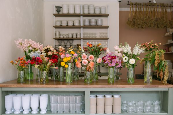 Brownstone Botanical by null