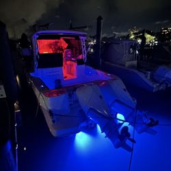 Black Knight Customs - All new lights installed, sealed perfectly