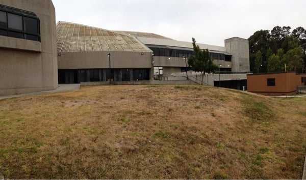 City College of San Francisco - Southeast Center Library by null