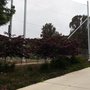 Photo of Tavan Field