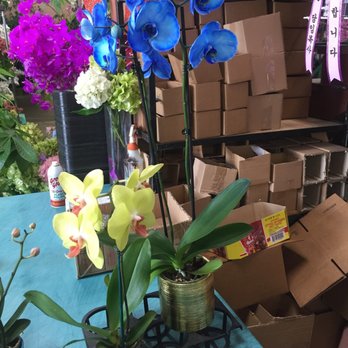 Flora Clay - Florists Near Me - Los Angeles, California Flora Clay - Florists Near Me - Los Angeles, California