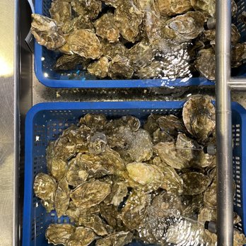 Taylor Shellfish Oyster Bar - Oyster hotel! - Seafood Near Me - Seattle, Washington