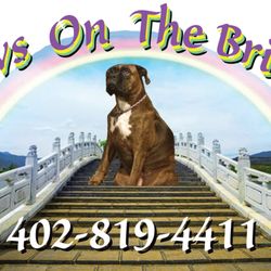 Paws On The Bridge
