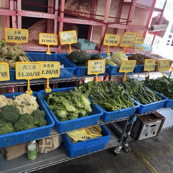 CK SF Trading - Limited selection of vegetables but it's there - International Grocery Near Me - San Leandro, California CK SF Trading - Limited selection of vegetables but it's there - International Grocery Near Me - San Leandro, California