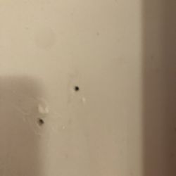 American Standard-Corporate - American Standard Showers scammed me. They did not pull required permits and their materials and installation were faulty. I lost $11,450.
