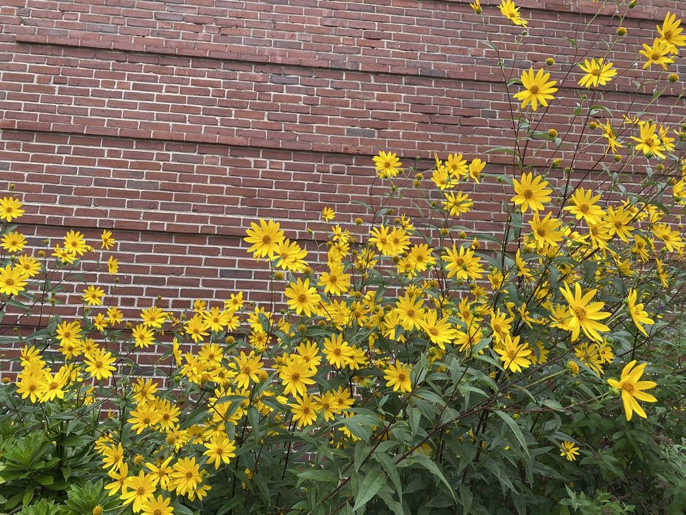 US POST OFFICE Updated June 2024 13 Reviews 405 Concord Ave