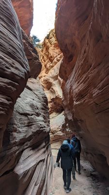 Dreamland Safari Tours by null