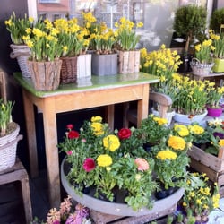 Blumen Lennartz