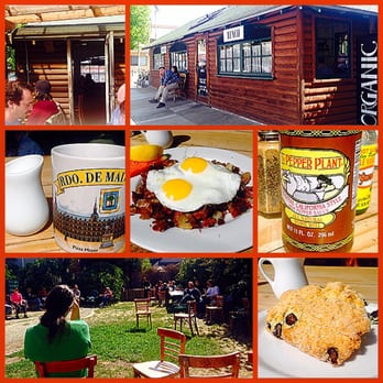 Sam's Log Cabin - Montage of images of Sam's Log Cabin - Breakfast & Brunch Near Me - Albany, California Sam's Log Cabin - Montage of images of Sam's Log Cabin - Breakfast & Brunch Near Me - Albany, California