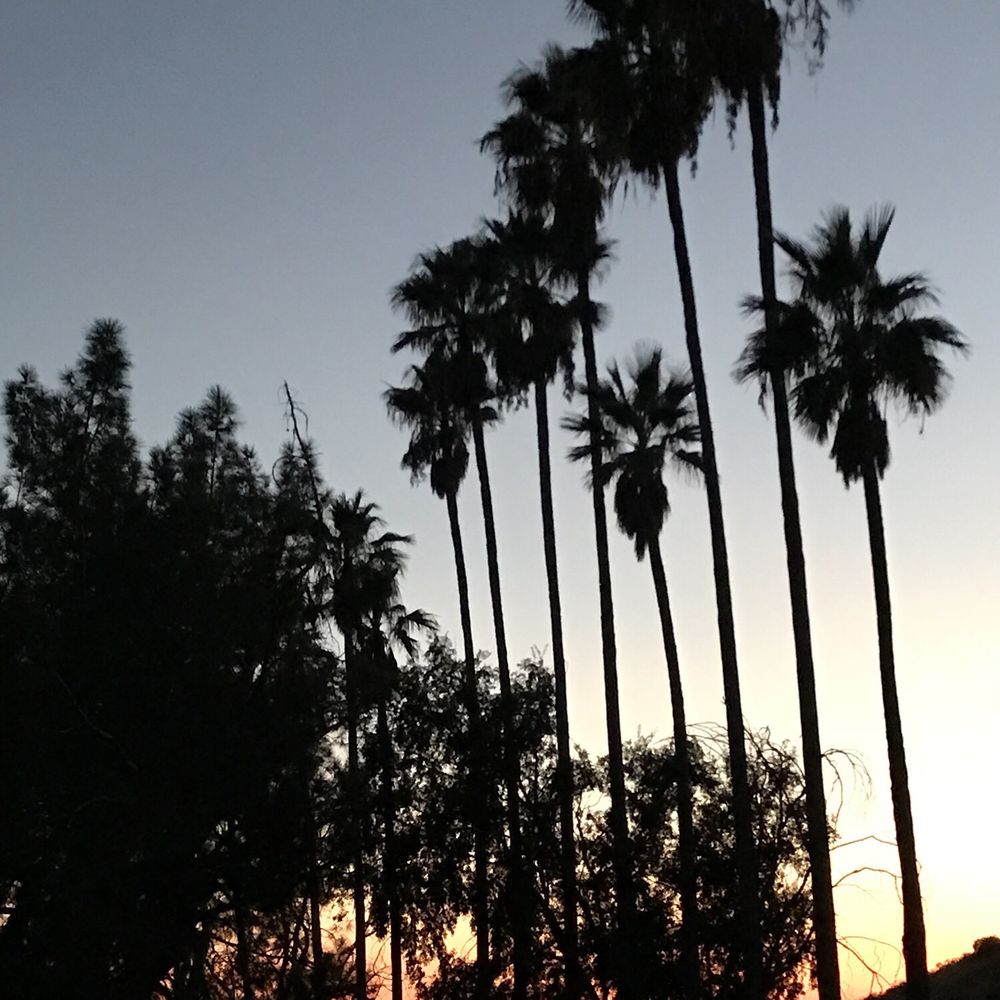 Veterans Memorial Park - Parks Near Me - Sylmar, California Veterans Memorial Park - Parks Near Me - Sylmar, California