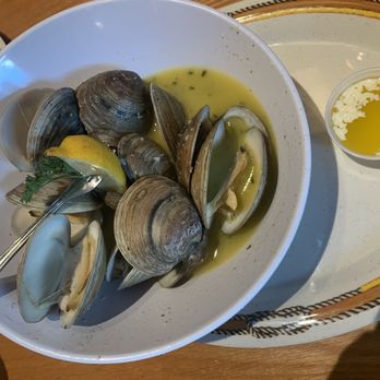 The Fish Grill - Steamers - Seafood Near Me - Dania Beach, Florida