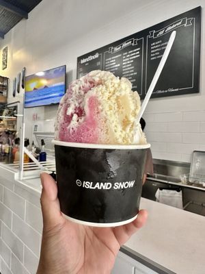 Island Snow Hawaii by null