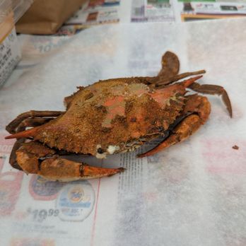Wild Country Seafood - Seafood Markets Near Me - Annapolis, Maryland Wild Country Seafood - Seafood Markets Near Me - Annapolis, Maryland