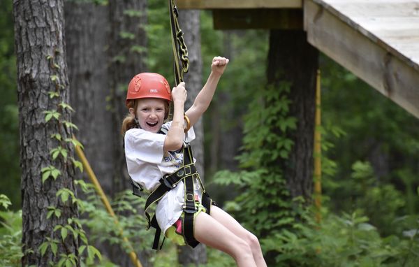 Charleston Adventure Forest by null