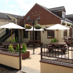 The Elm Tree