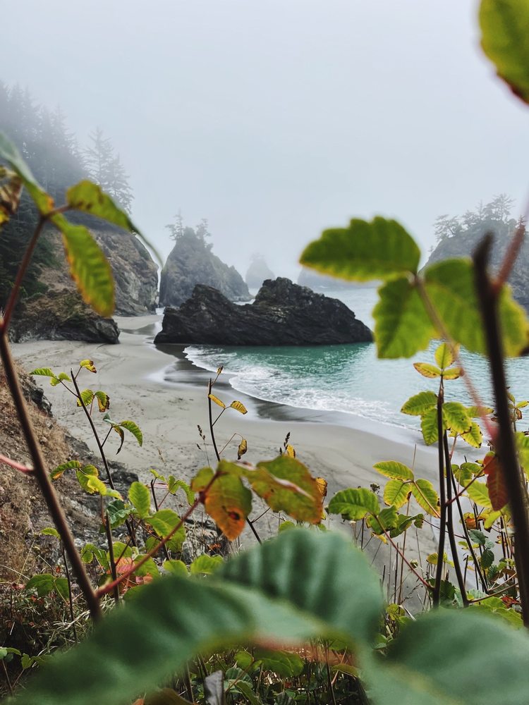 Hidden Beach Logo