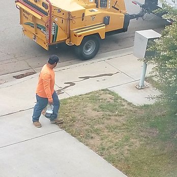 Pro Select Construction Services  - The guy looks at his mess, guess he thought nobody was watching! - General Contractors Near Me - Escondido, California