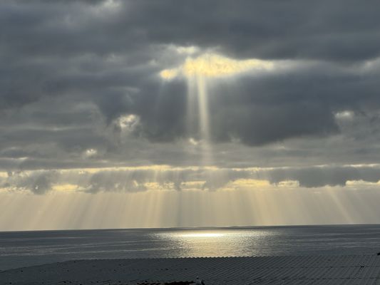 Angel Del Mar by null
