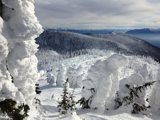 Whitefish Mountain Resort by null
