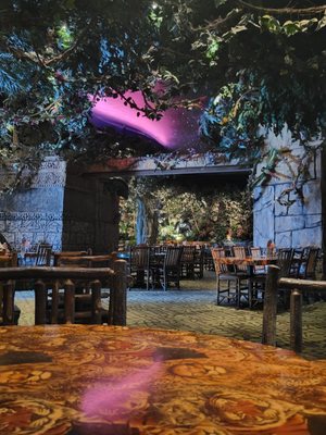 Rainforest Cafe by null