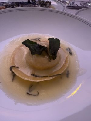 Bazaar by CERVO by null