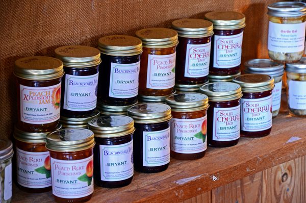 Rebec Vineyards by null