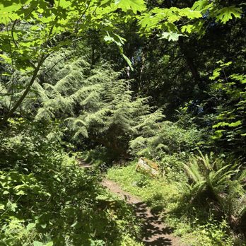Anderson Landing Preserve - Nice trail - Parks Near Me - Silverdale, Washington Anderson Landing Preserve - Nice trail - Parks Near Me - Silverdale, Washington