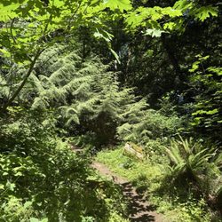 Nice trail