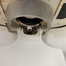 Mold on water dispenser