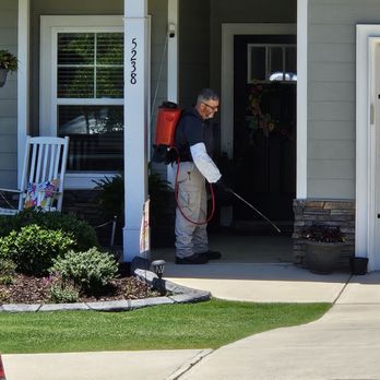 POP-E's Pest Control - Pest Control Near Me POP-E's Pest Control - Pest Control Near Me