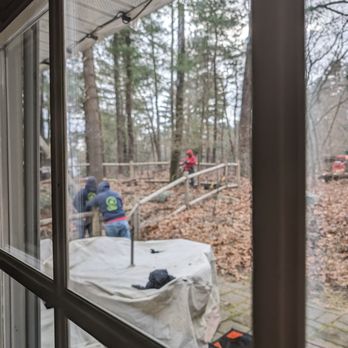Palmer Tree Service - Tree Services Near Me - Framingham, Massachusetts