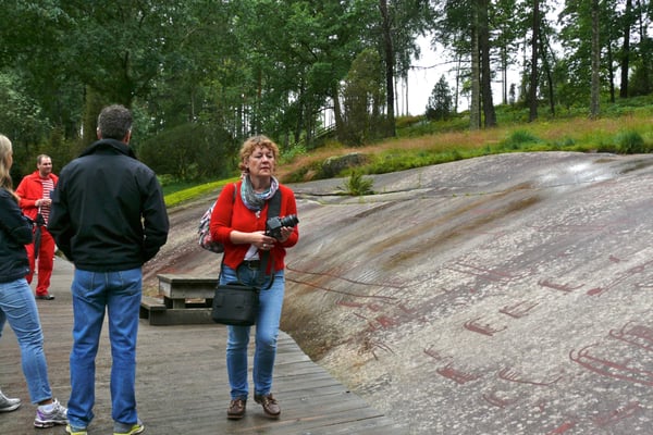 Vitlycke Museum by null