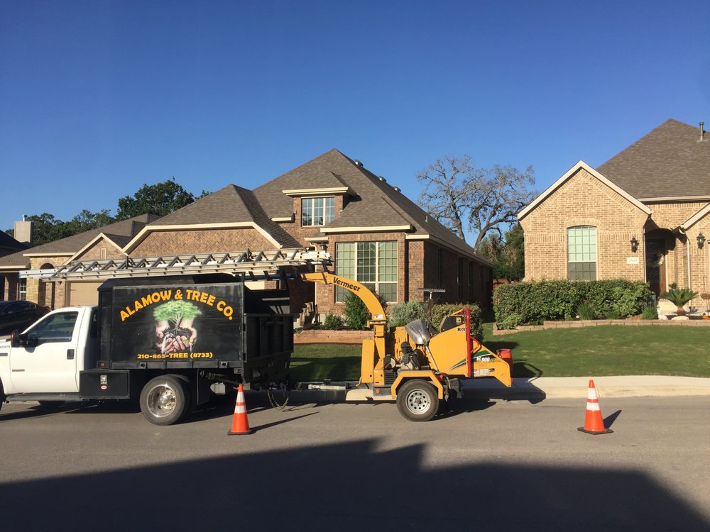 Alamow & Tree - tree service in San Antonio, TX