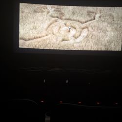 Upshur Cinema - Screen