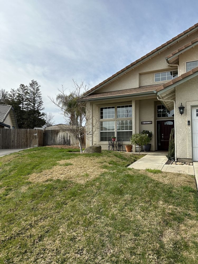 SHIPMAN TREE SERVICE Updated August 2024 24 Photos & 28 Reviews