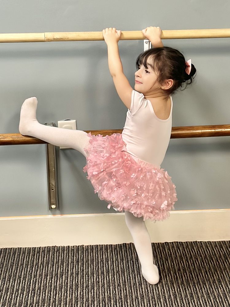 YMCA TIFTAREA Updated September 2024 26 Photos 1823 Westover Rd