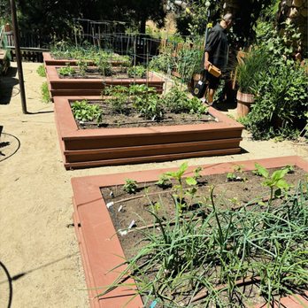 Sycamore Ranch Winery & Cidery - Veggie garden on the property - Wine Tasting Room Near Me - Crestline, California Sycamore Ranch Winery & Cidery - Veggie garden on the property - Wine Tasting Room Near Me - Crestline, California