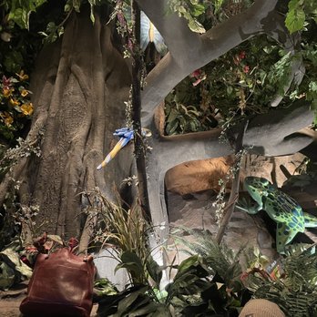 Rainforest Cafe - Indoor decor - American Near Me - Ontario, California