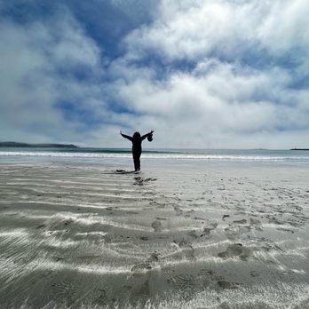 Sonoma Coast State Beach - Parks Near Me - Bodega Bay, California Sonoma Coast State Beach - Parks Near Me - Bodega Bay, California