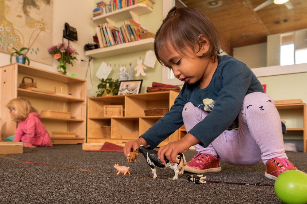 Montessori of Alameda - 21st Century School - childcare center in Portland, OR