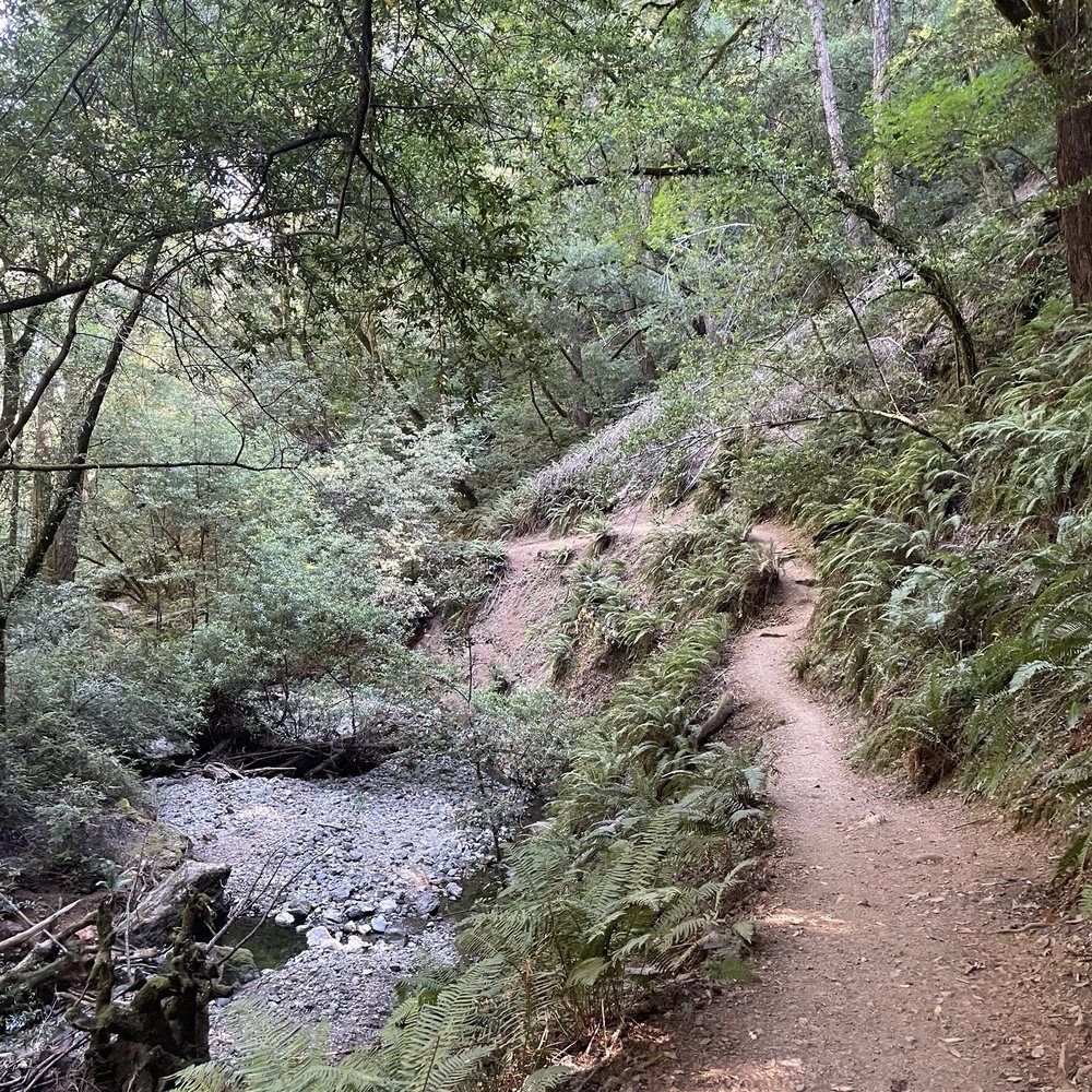 Cataract Falls Trail - Trail next to trickling stream. - Hiking Near Me Cataract Falls Trail - Trail next to trickling stream. - Hiking Near Me