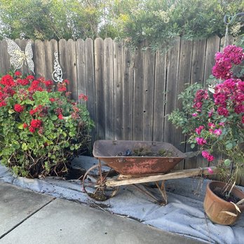 Awaken Landscapes - After - Landscaping Near Me - Lafayette, California