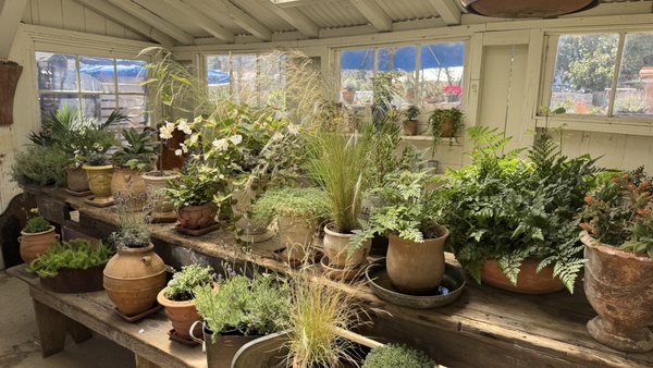 Bodega Los Alamos by null